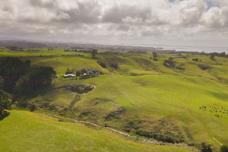 96 Hatton Road Awhitu_26