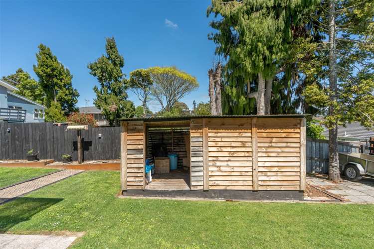 122 Ellicott Road Nawton_20