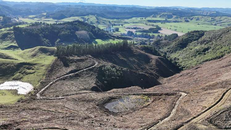 Waireka Road Papaiti_11