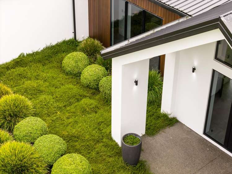 153 Woolrich Road Te Kowhai_1