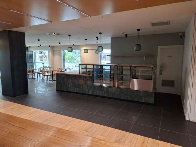 144 Rattray Street Dunedin Central_1