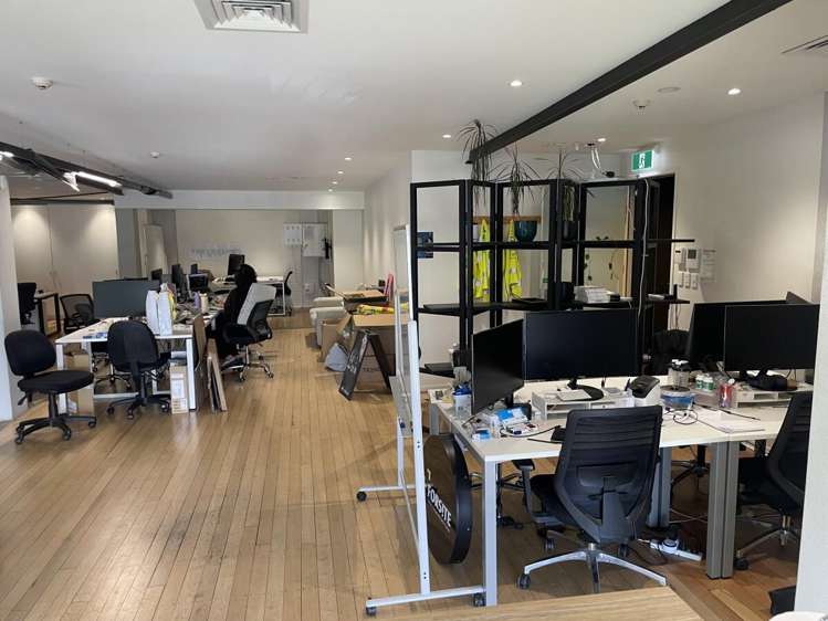 14 McDonald Street Morningside_7