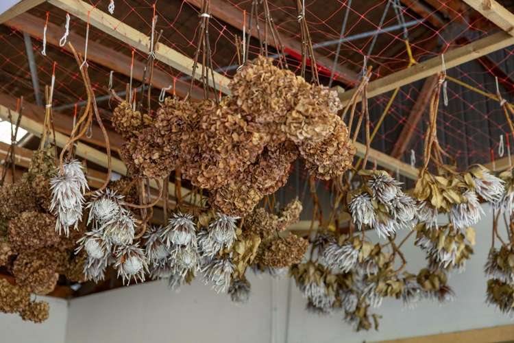 127 Armstrong Road Te Puna_34