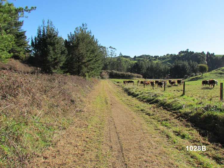 1028 A,B,C McIvor Road Rotoma_13