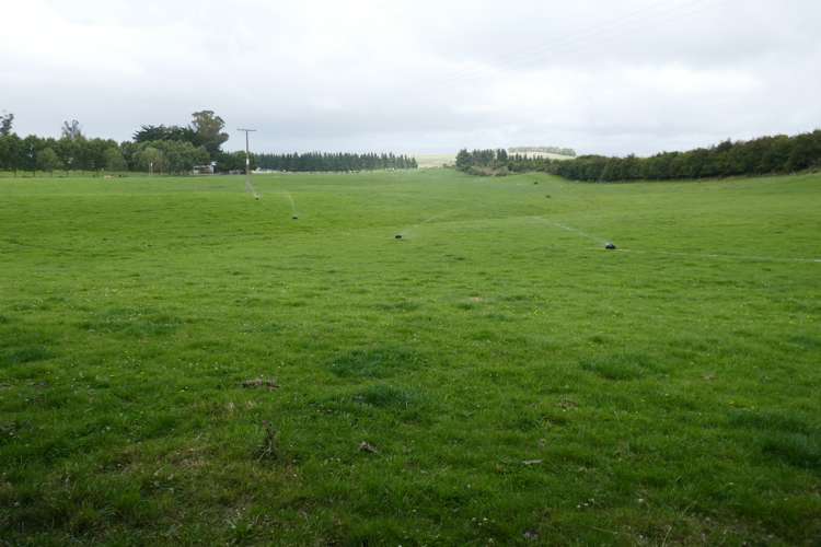 313 Springfield Road Totara_22