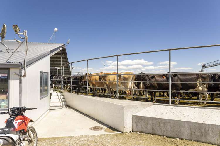 47 Wilson Road Timaru_6