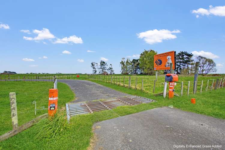 3191 State Highway 1 Sanson_25