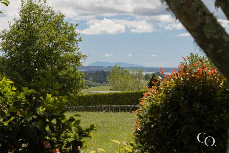 14A Sagewood Road Whakamarama_11