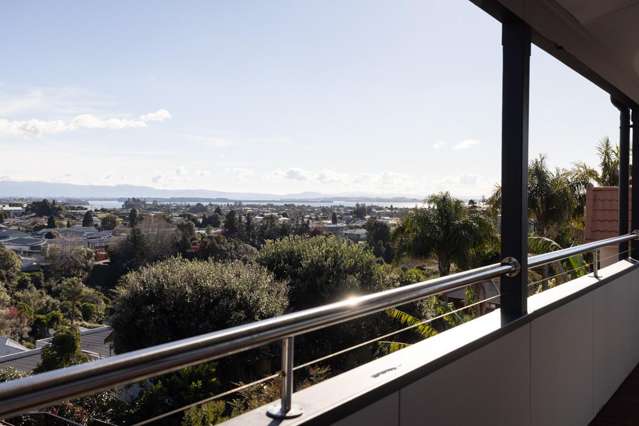 33 Sherwood Street Bellevue_3