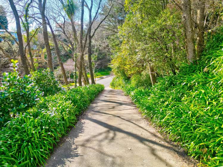 12 Taylor Street Durie Hill_20