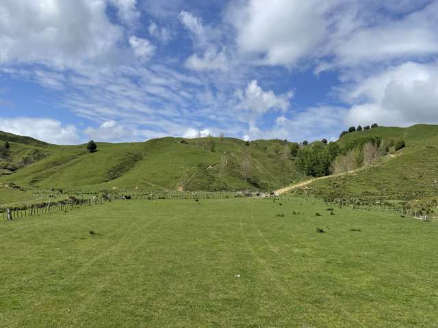 592 Waitewhena Road Ohura_1