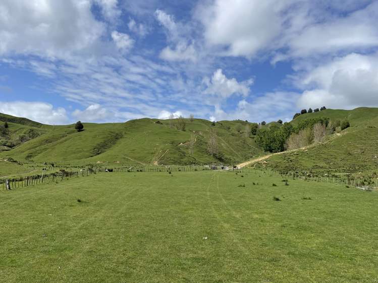 592 Waitewhena Road Ohura_1