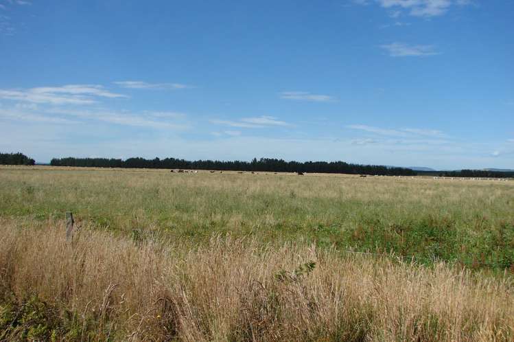 194 Talls Road Gorge Road_13