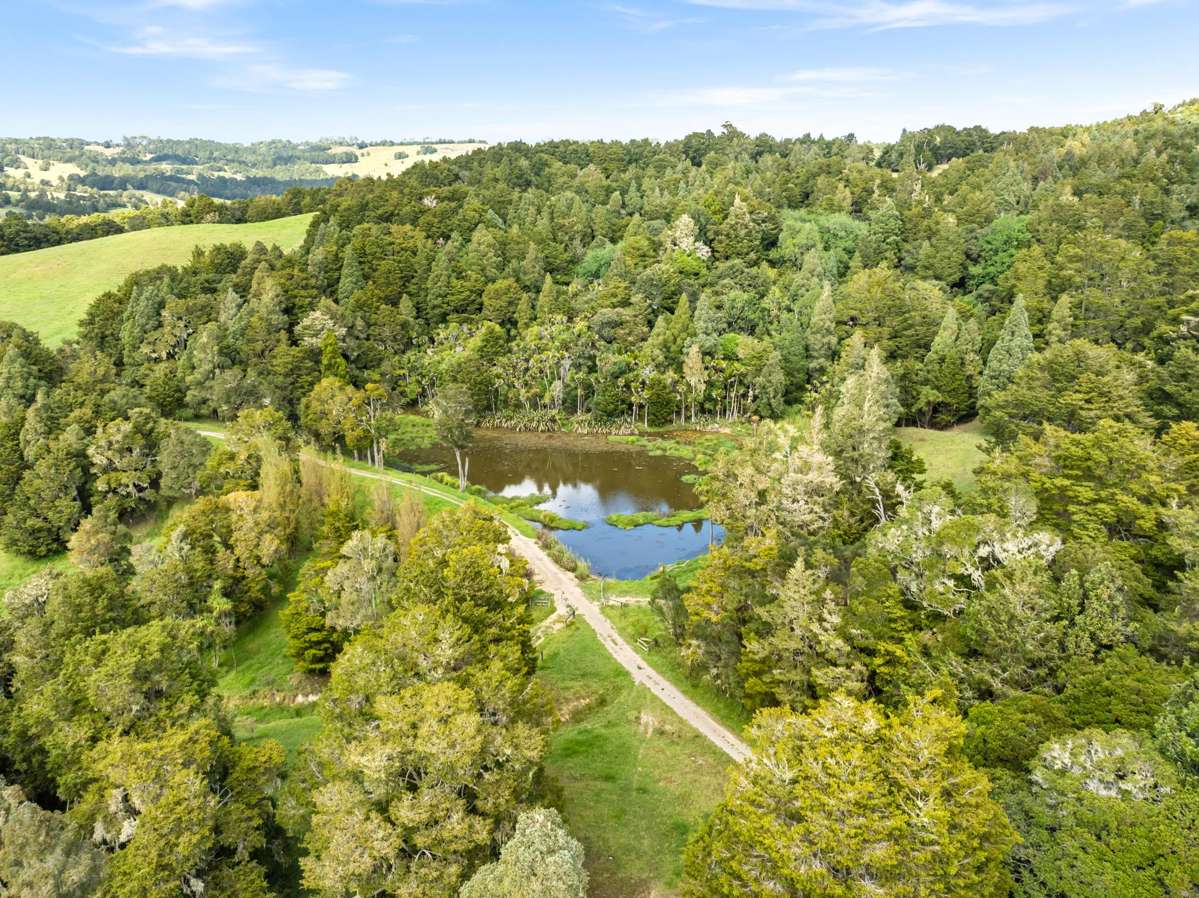 47B Mihi Road_4