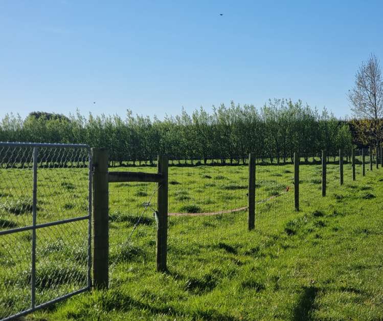 140 Hudsons Road Lincoln_21