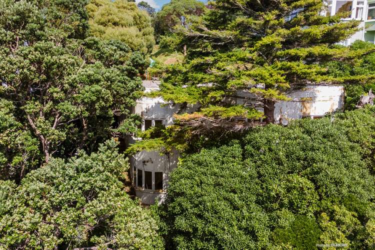 94 Mortimer Terrace Brooklyn_17