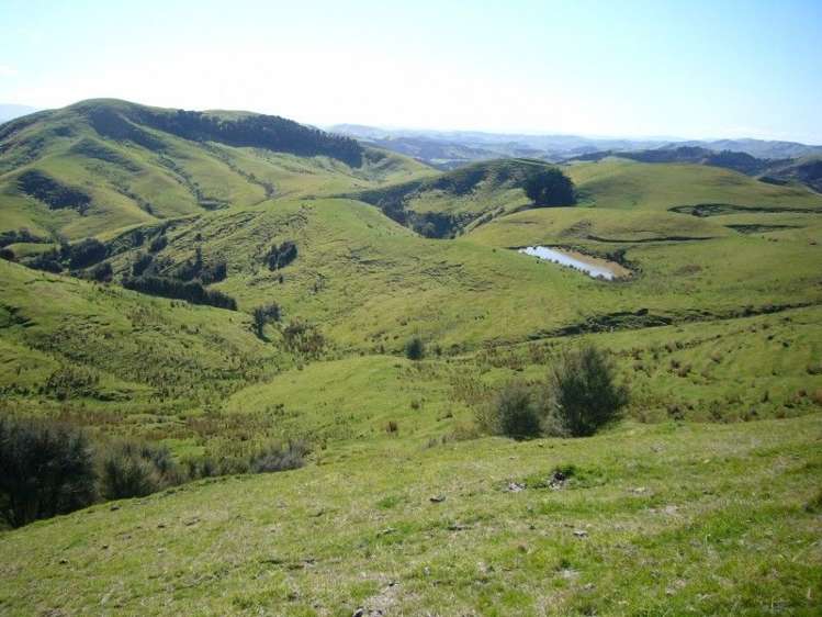 419 Spur Road Pongaroa_11