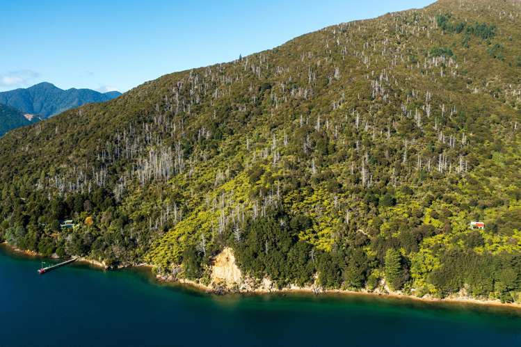 Lot 2 North West Bay Pelorus Sound_10