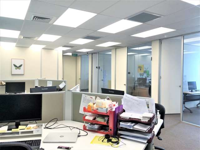 11 York Street Parnell_2