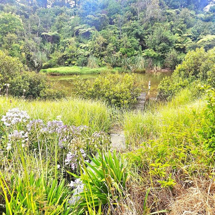 348 Wainui Road Wainui_15