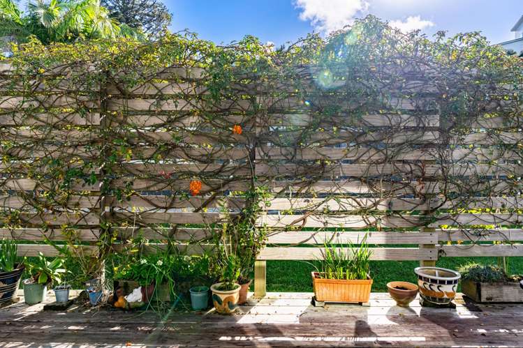 73 Moir Point Road Mangawhai_21