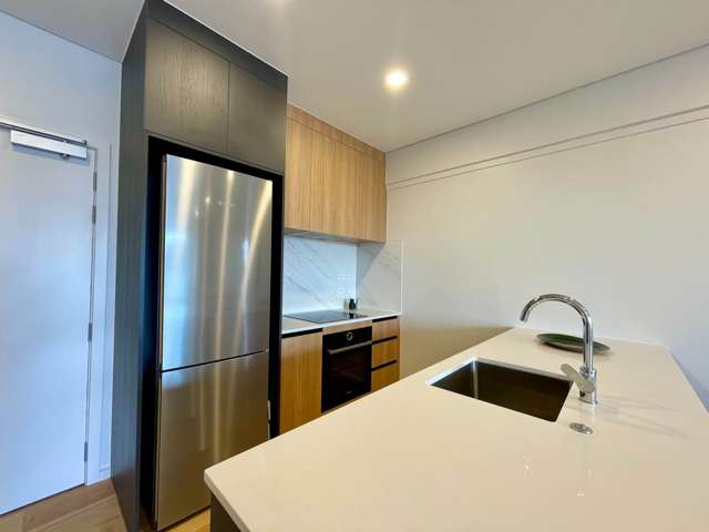 118/6-8 Meadowbank Road Meadowbank_3