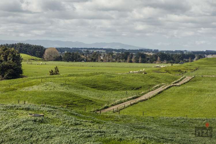 76 Brandon Hall Road Bulls_14