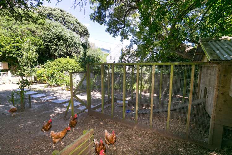 133 Totara Road Miramar_24