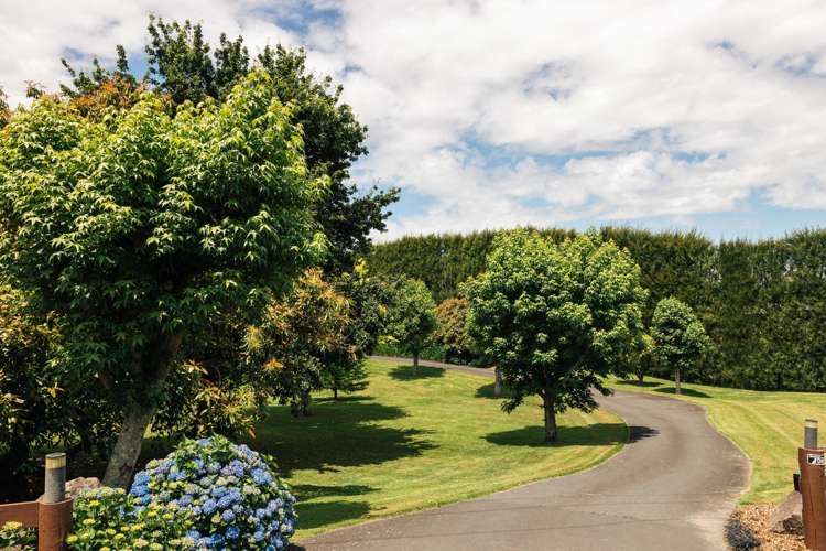 116 Wilson Road North Paengaroa_19