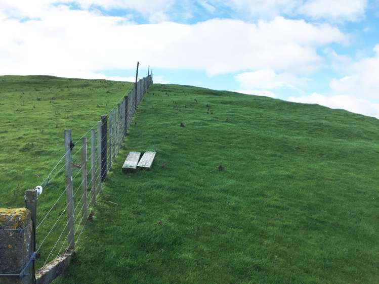 297 Kaitawa Road Pahiatua_13