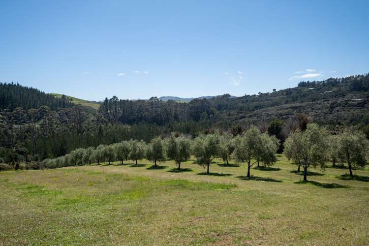 125b Frantoio Ridge Road Mangonui_23