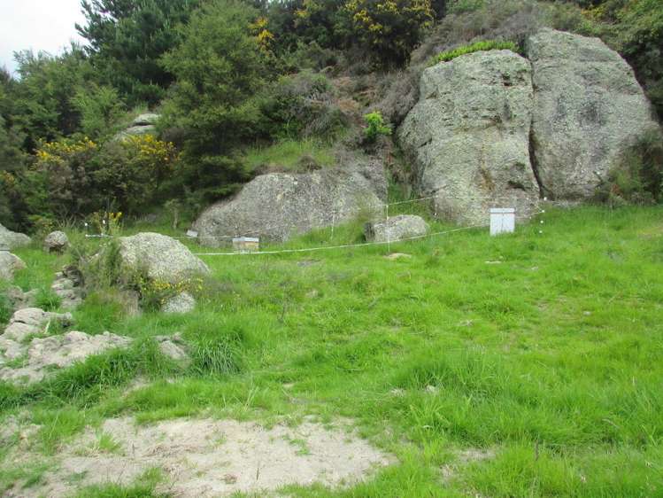 Horse Range Road Palmerston_9