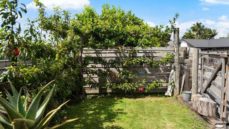 2 Tavarnya Way Patumahoe_23