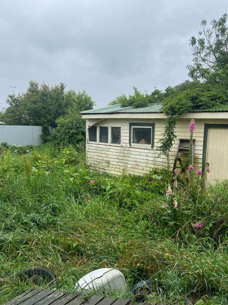 21 Ferguson Street Levin_6