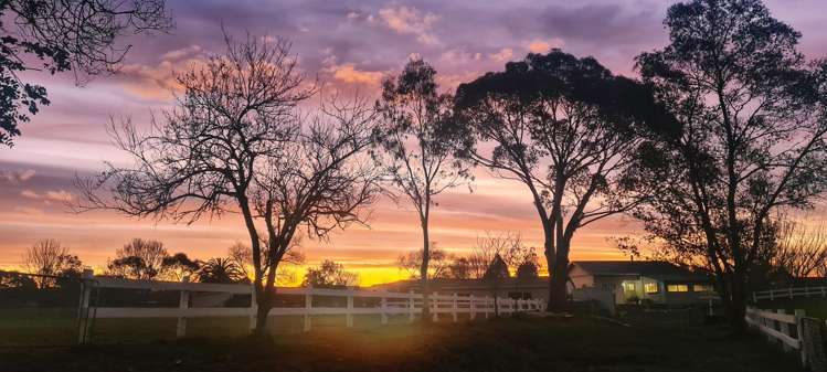 45 Bryant Road Brightwater_20