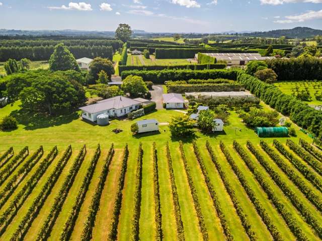 THROW IN THE JOB - LIVE OFF INCOME FROM YOUR LAND