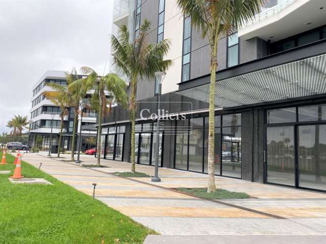 Alexandra Park Apartments Epsom_3