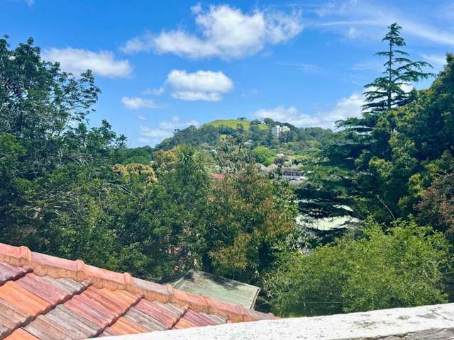 19 Belvedere Street Epsom_3