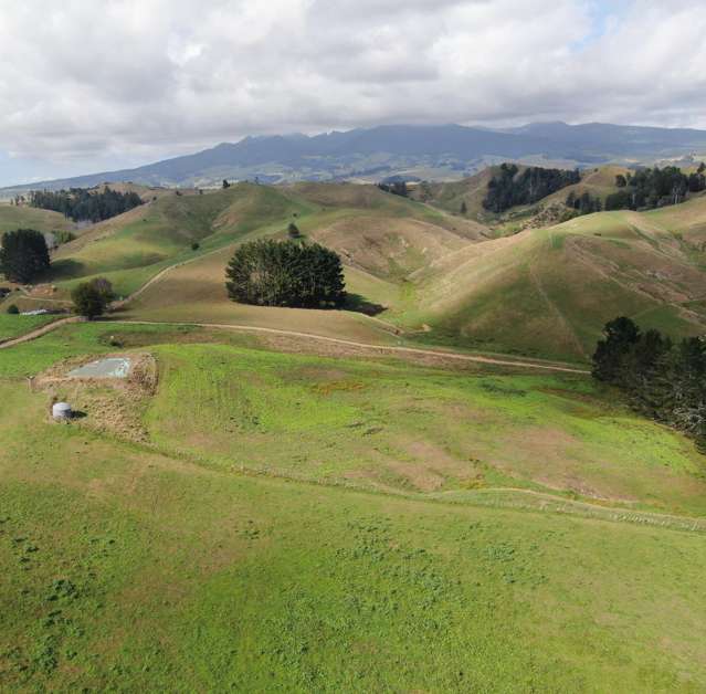 1026 Limeworks Loop Road Karamu_3