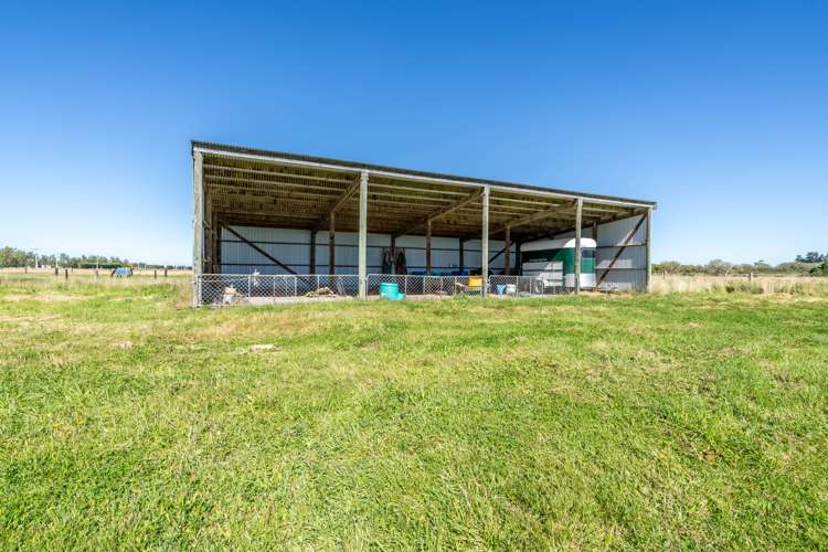 63 Campbell Road Winton_25