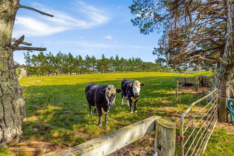 192 Muriwai Valley Road Muriwai_35