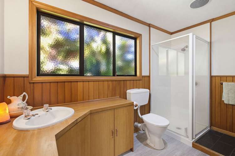 314 Thorpe-Orinoco Road Ngatimoti_9
