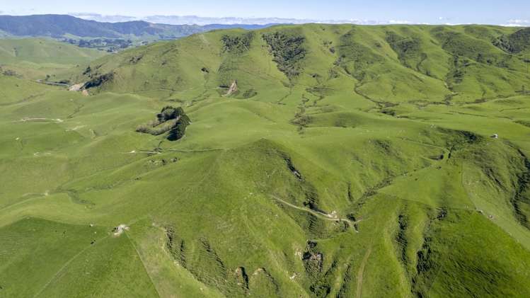 73 Hall Road Eketahuna_18