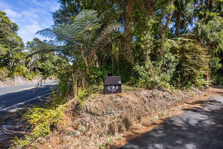 296 Piha Road Piha_14