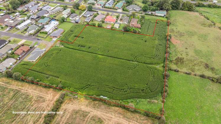 21 Coolen Place Tuakau_3