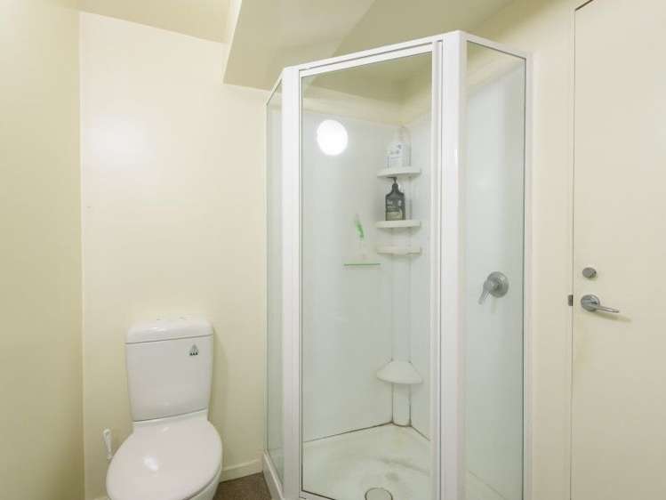 24/5 Eva Street Te Aro_11