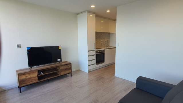 Newly Renovated (Furnished Studio Apartment)