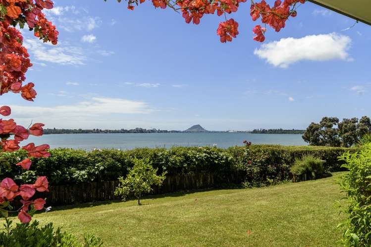 268 Maungatapu Road Maungatapu_13