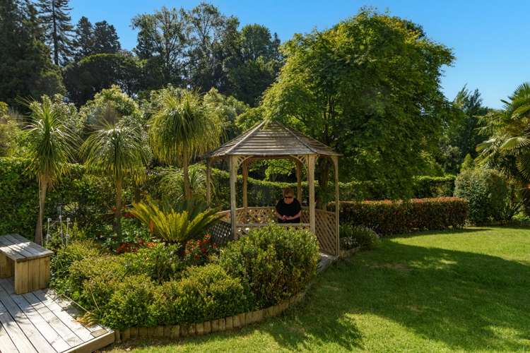 162 Carlton Street Bellevue_12