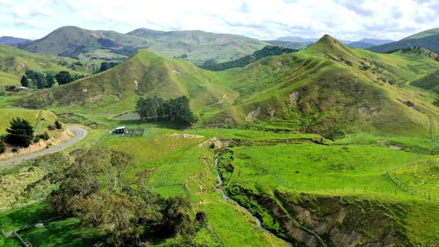 2269 Coast Road Pongaroa_4